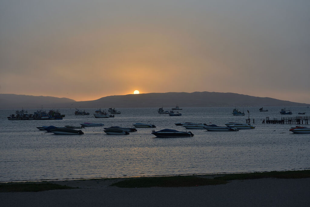 Paracas nature reserve