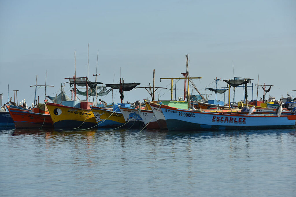 Paracas nature reserve