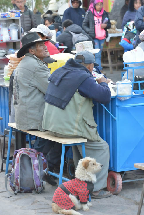 Cañon Del Colca, first day