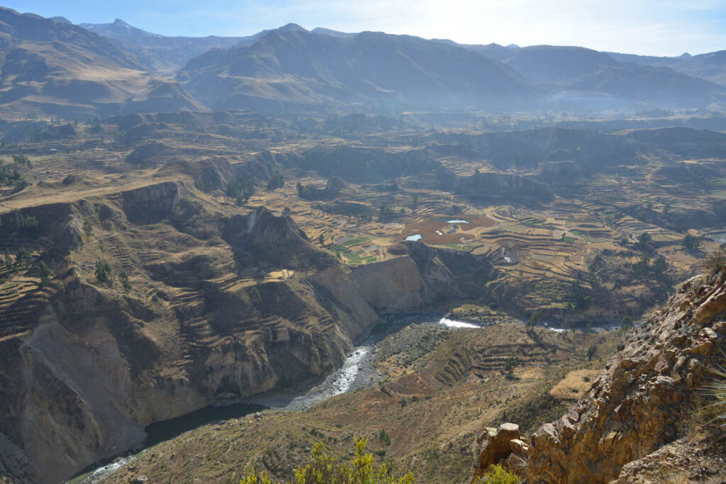 Cañon Del Colca and Cruz Del Condor