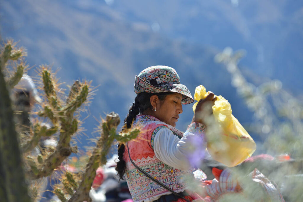 Cañon Del Colca and Cruz Del Condor