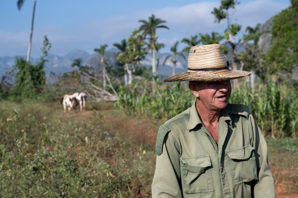Viñales