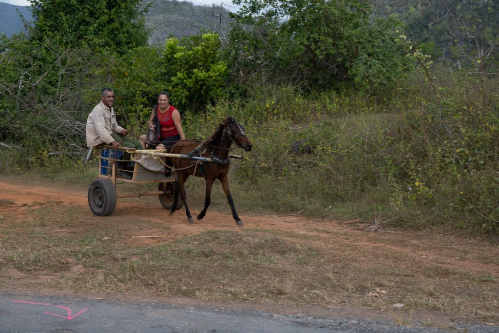 Viñales