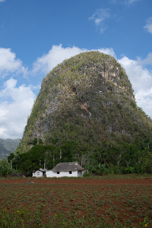 Viñales