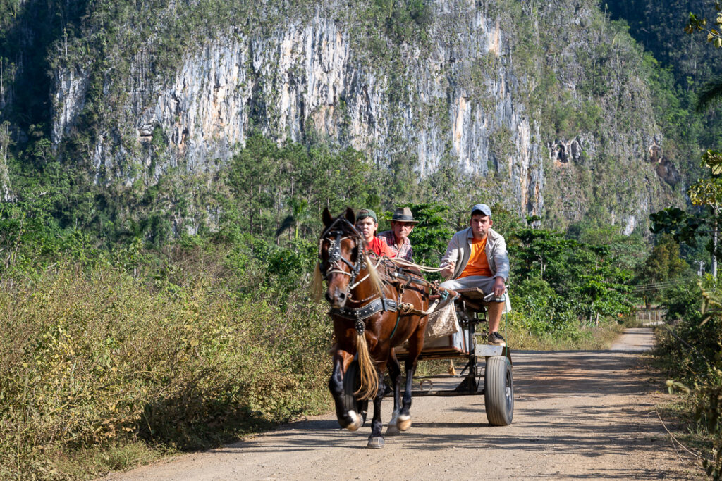 Viñales