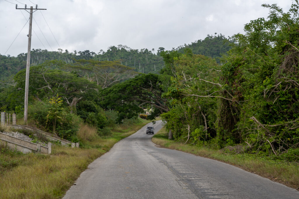Soroa