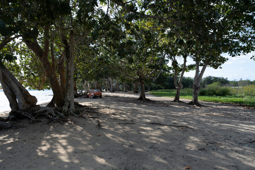 Playa Larga, nature reserves