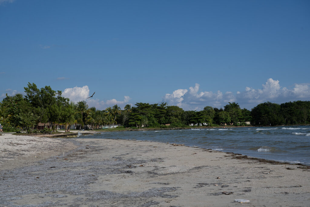 Playa Larga, nature reserves