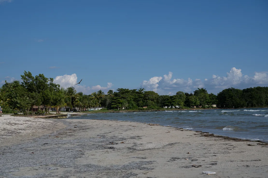 Playa Larga, nature reserves