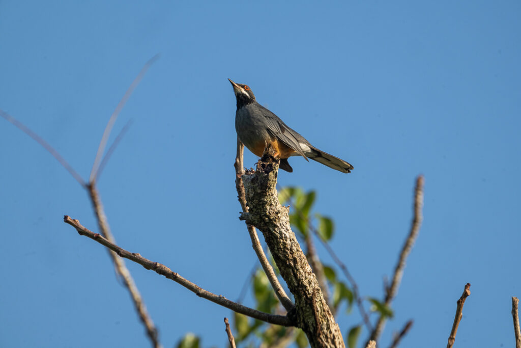 Playa Larga, nature reserves
