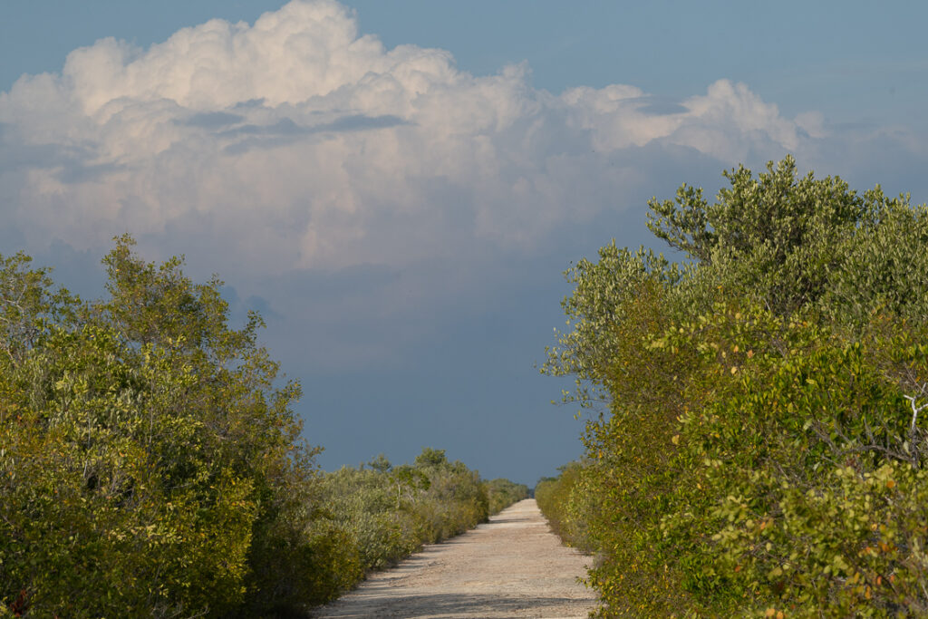 Playa Larga, nature reserves