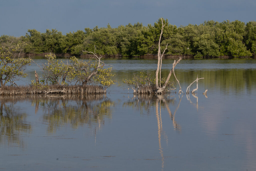 Playa Larga, nature reserves