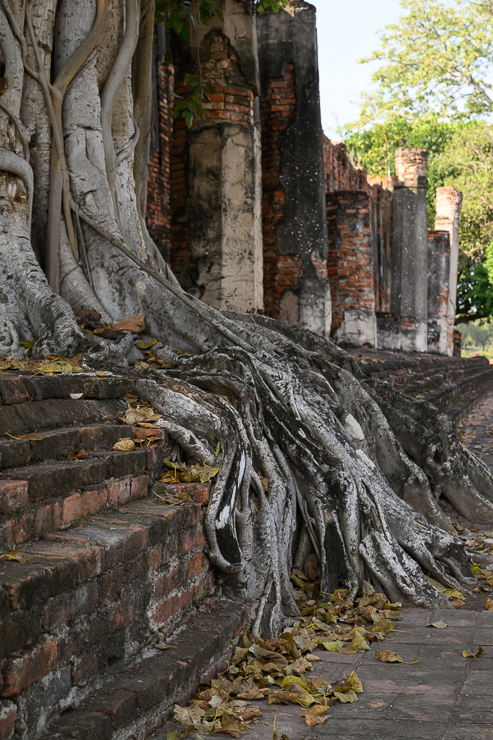 The city of Ayutthaya