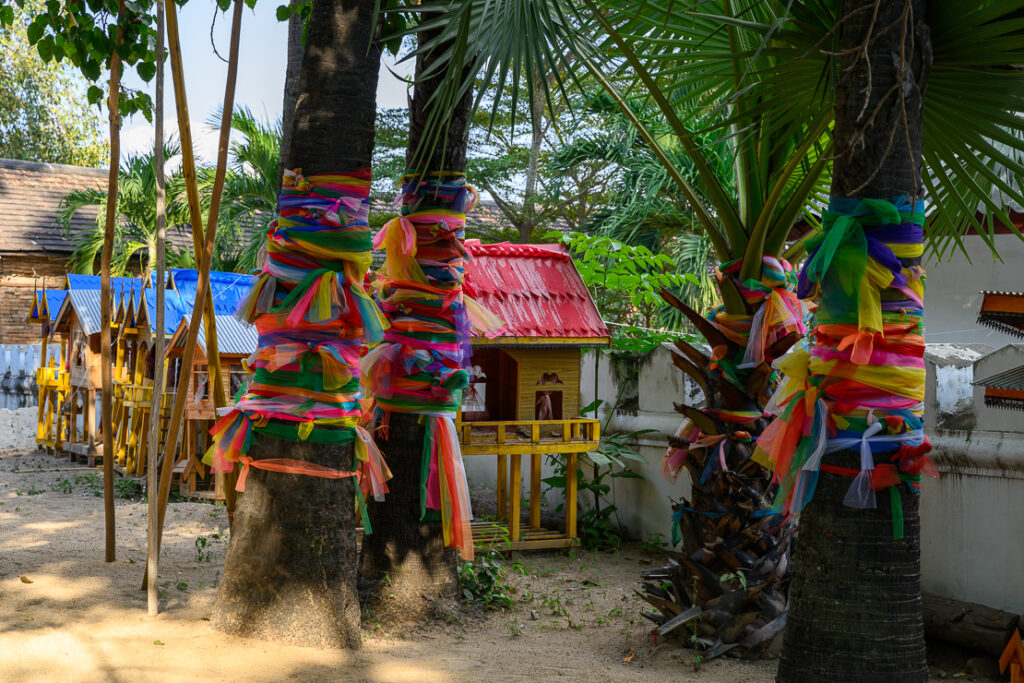 Lampang and Chiang Rai