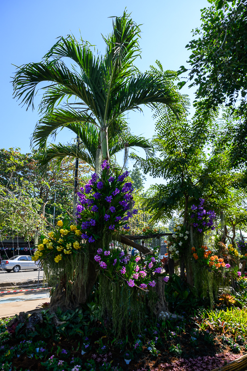 Lampang and Chiang Rai