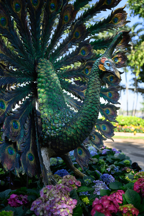 Lampang and Chiang Rai