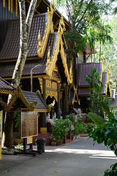 Lampang and Chiang Rai