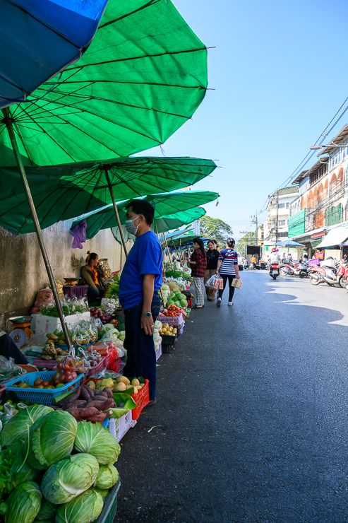 Lampang and Chiang Rai