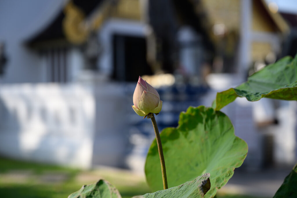 Chiang Mai
