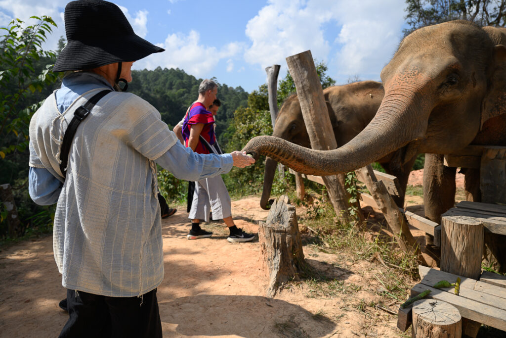 Chiang Mai