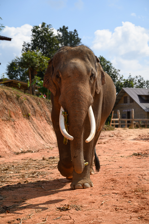 Chiang Mai