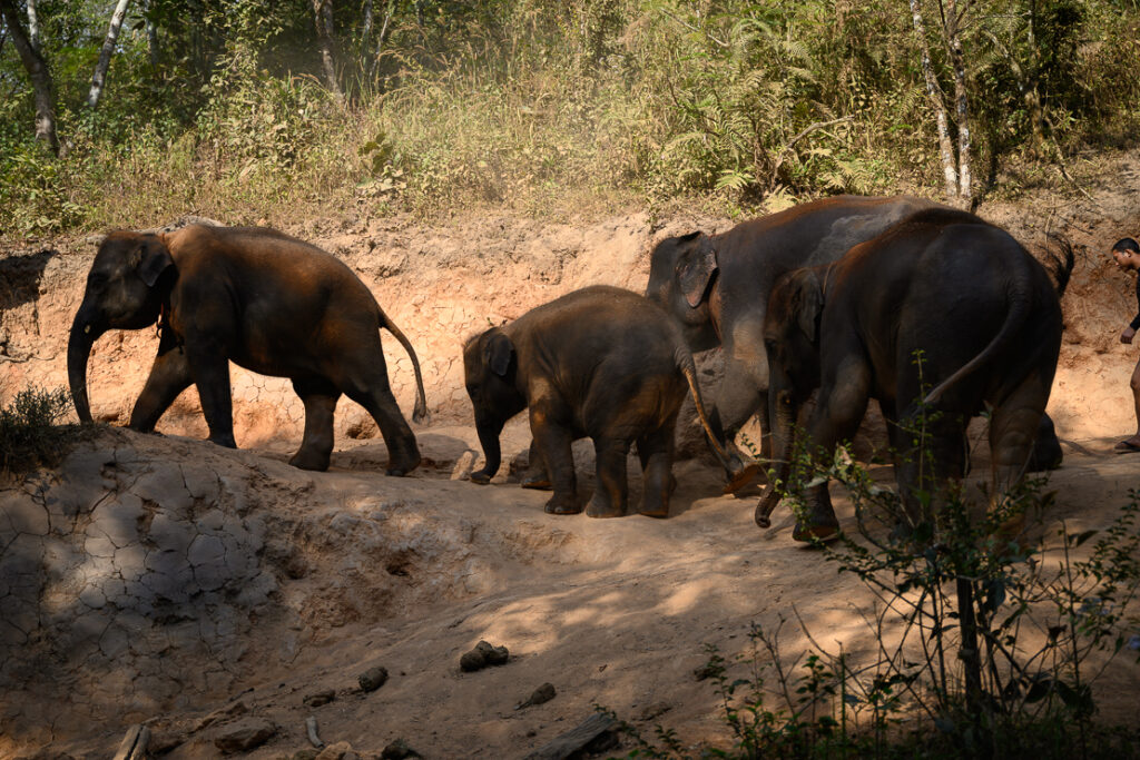 Chiang Mai