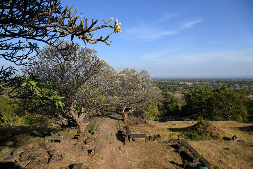Wat Phou: A UNESCO Site