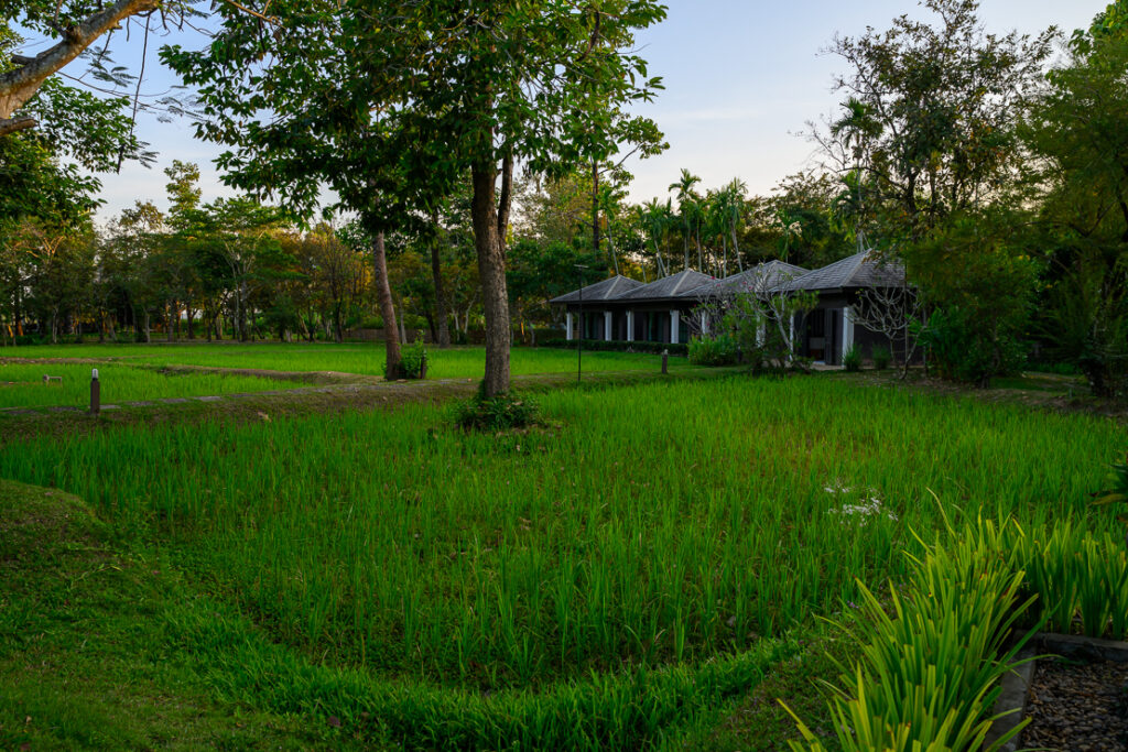 The River Resort