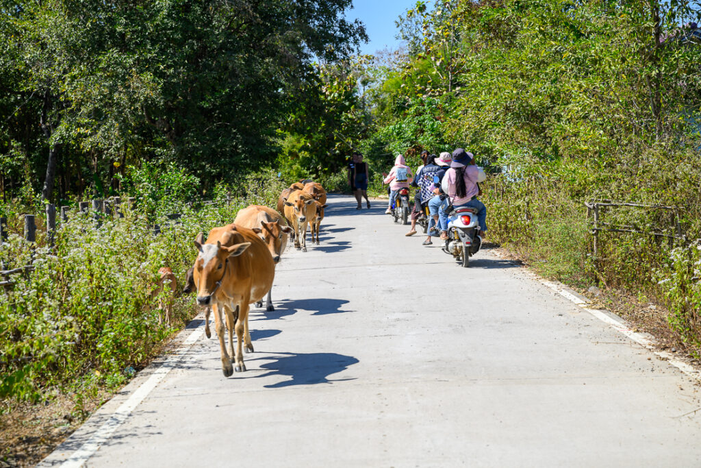 4000 Islands: Liphi and Khone Phapeng
