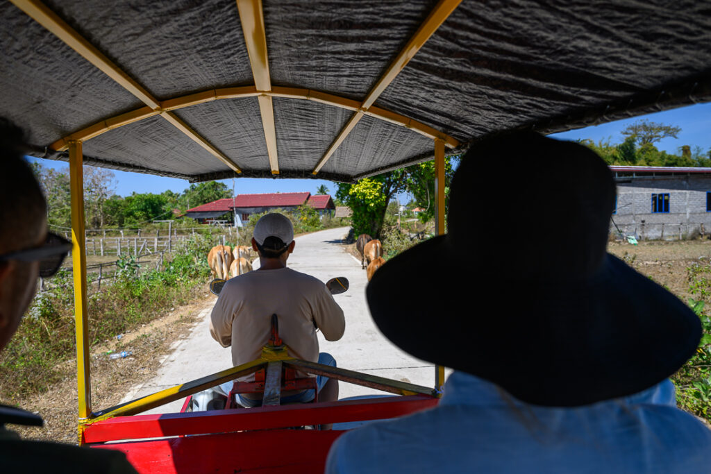 4000 Islands: Liphi and Khone Phapeng