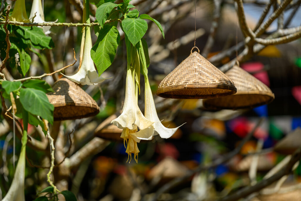4000 Islands: Liphi and Khone Phapeng