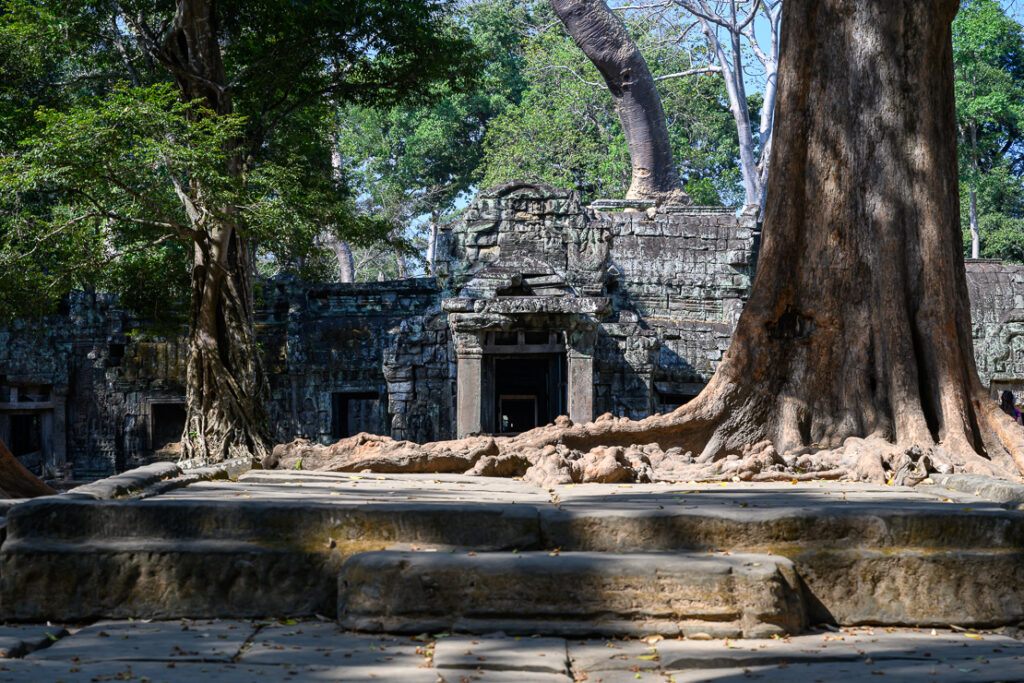 Siem Reap: Museums, Temples and Hidden gems