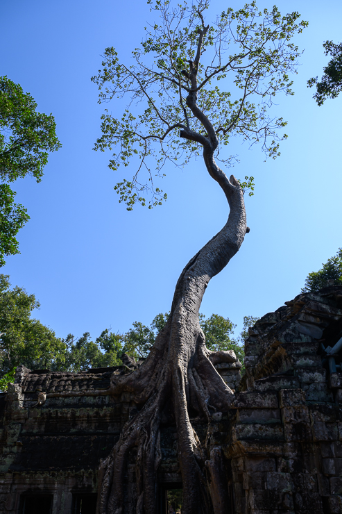 Siem Reap: Museums, Temples and Hidden gems