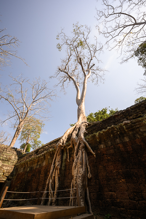 Siem Reap: Museums, Temples and Hidden gems