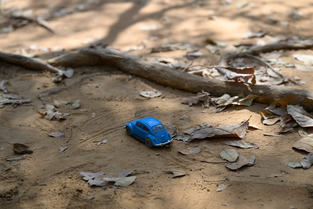 Siem Reap: Museums, Temples and Hidden gems