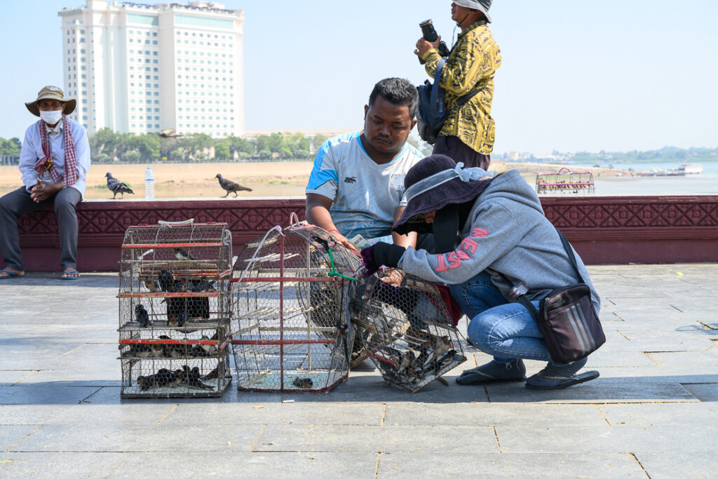 Phnom Penh, Cambodia's bustling capital