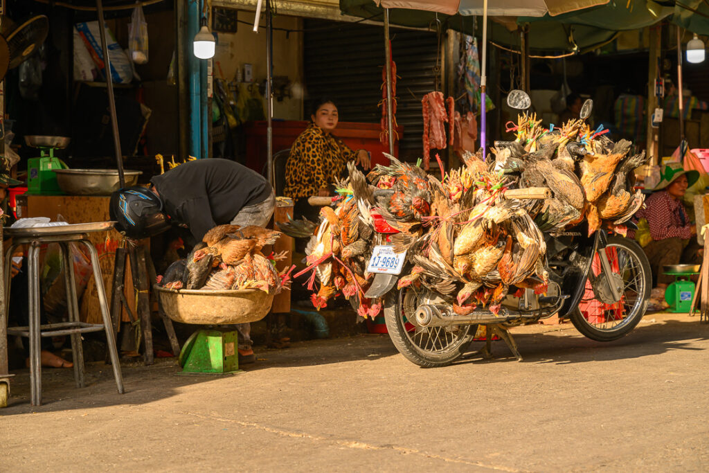 Phnom Penh, Cambodia's bustling capital