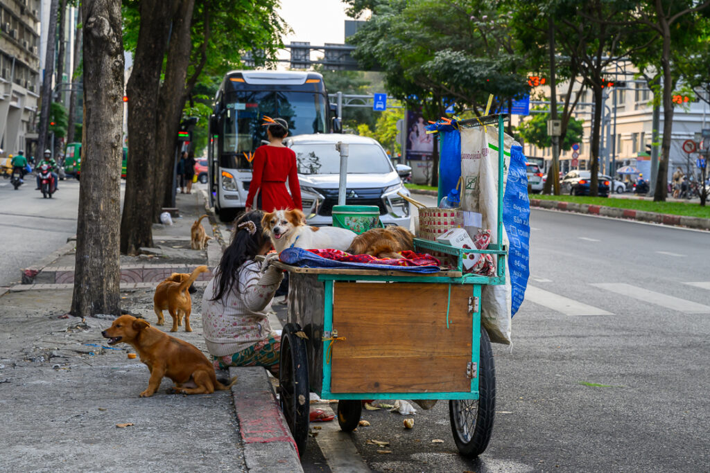 Discover the best of Ho Chi Minh City