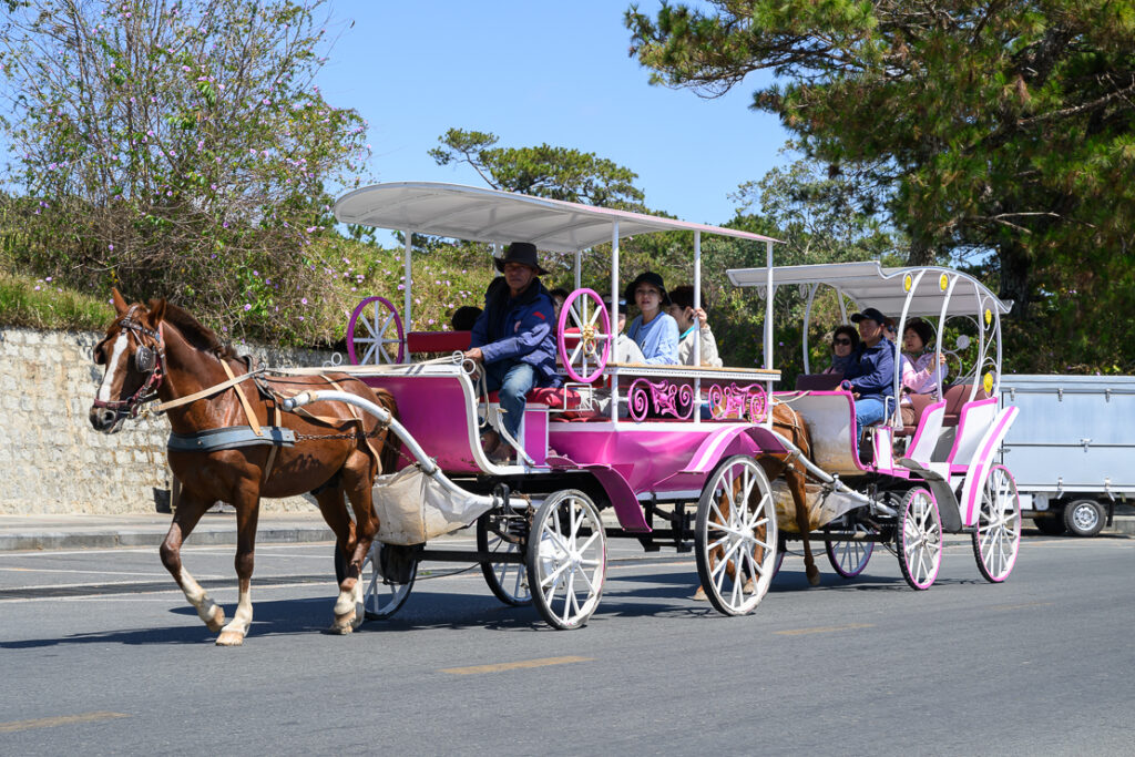 Escape to Da Lat for a cooler climate