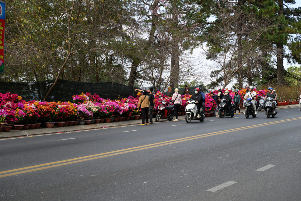 Escape to Da Lat for a cooler climate