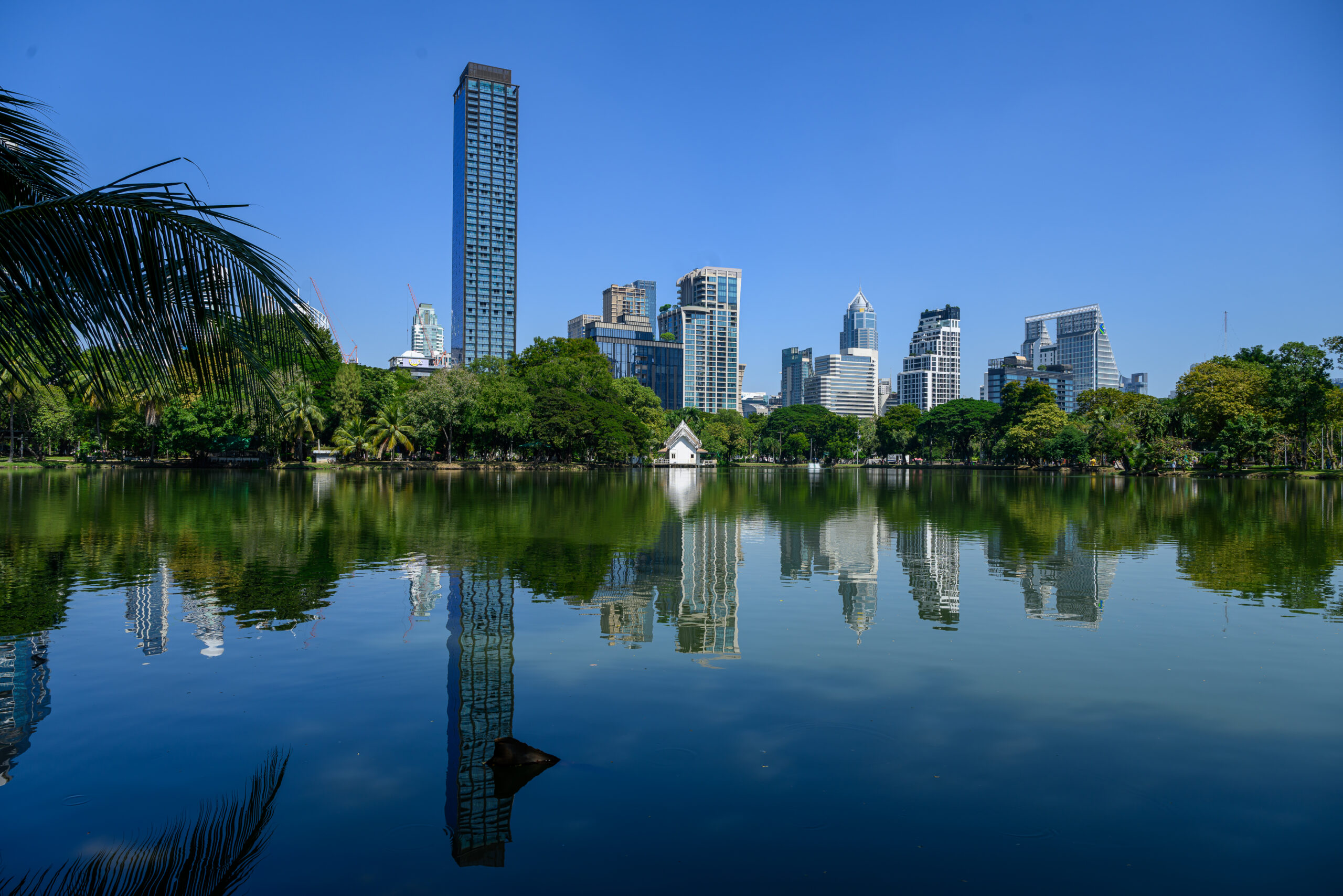 Exploring Bangkok: Itinerary ideas. Lumphini Park