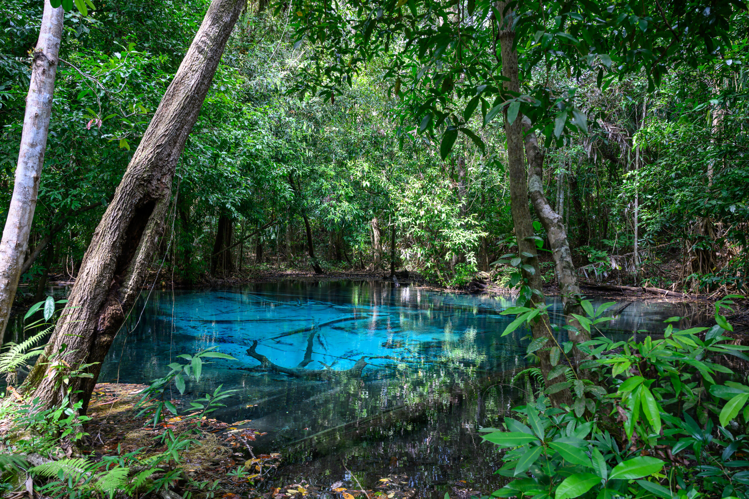 The Blue Pool