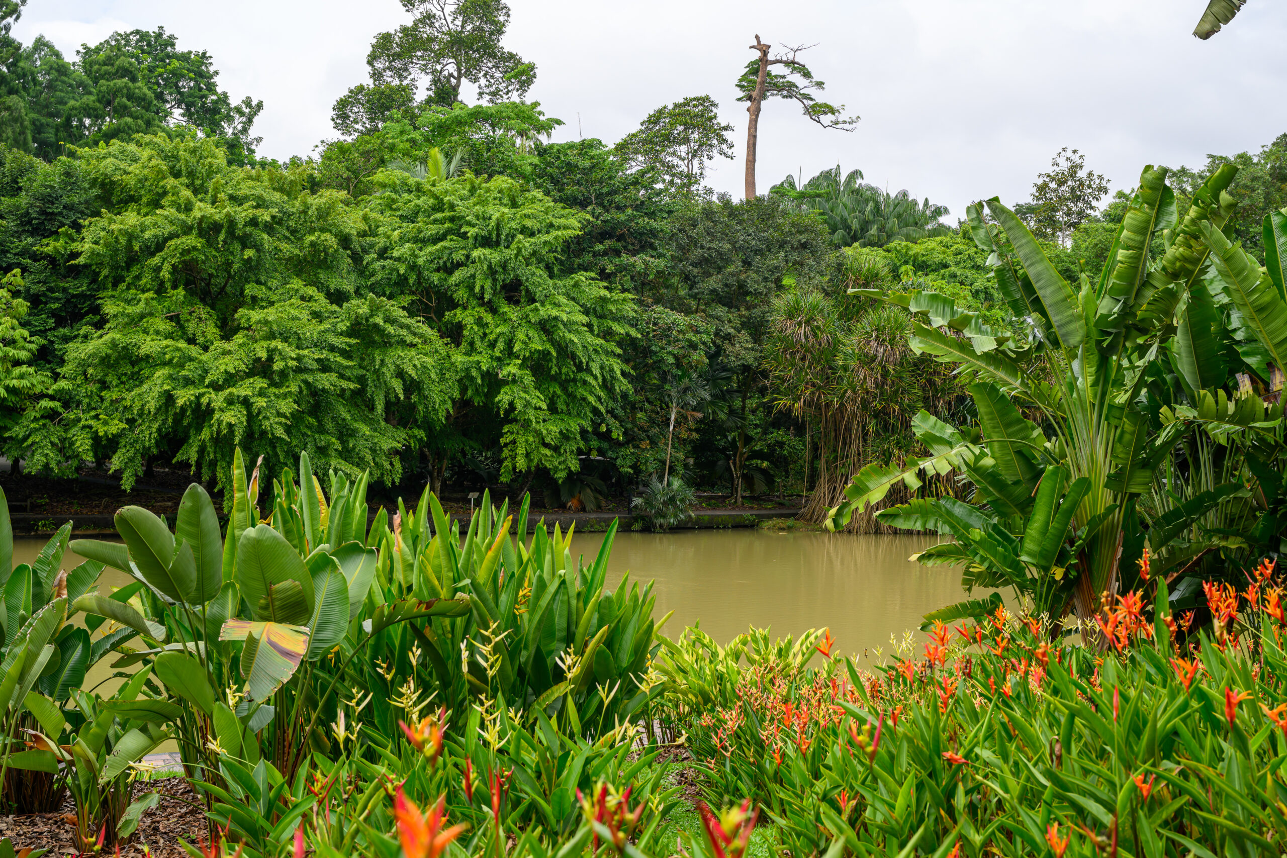 The Botanic Gardens