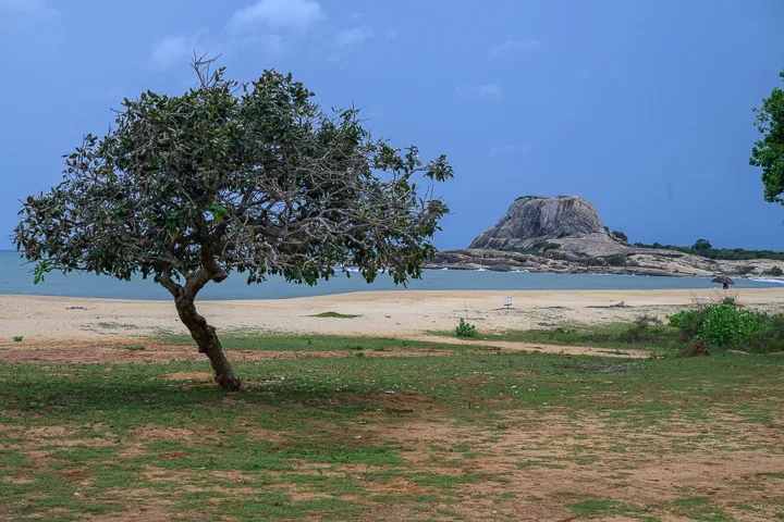 Sri Lanka’s wildlife, history and beaches